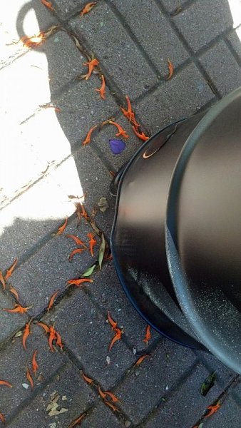 Click image for larger version

Name:	bent barrel.jpg
Views:	64
Size:	87.8 KB
ID:	20373