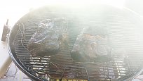Click image for larger version

Name:	20160725_130230 Boston Butt.jpg
Views:	250
Size:	198.0 KB
ID:	201091