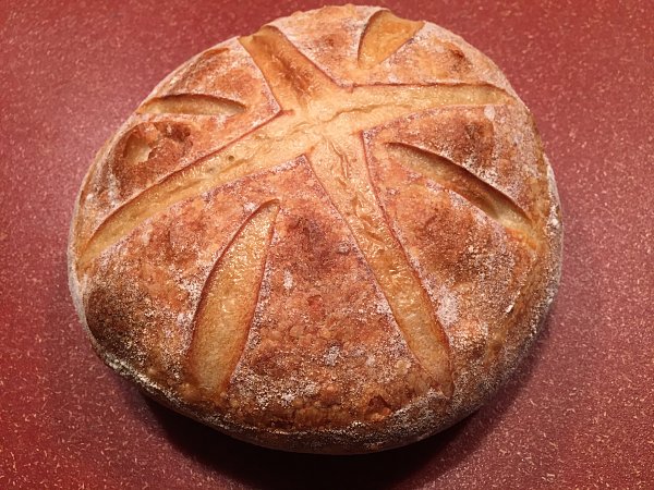 Click image for larger version

Name:	Loaf 20160825.jpg
Views:	245
Size:	189.9 KB
ID:	214122
