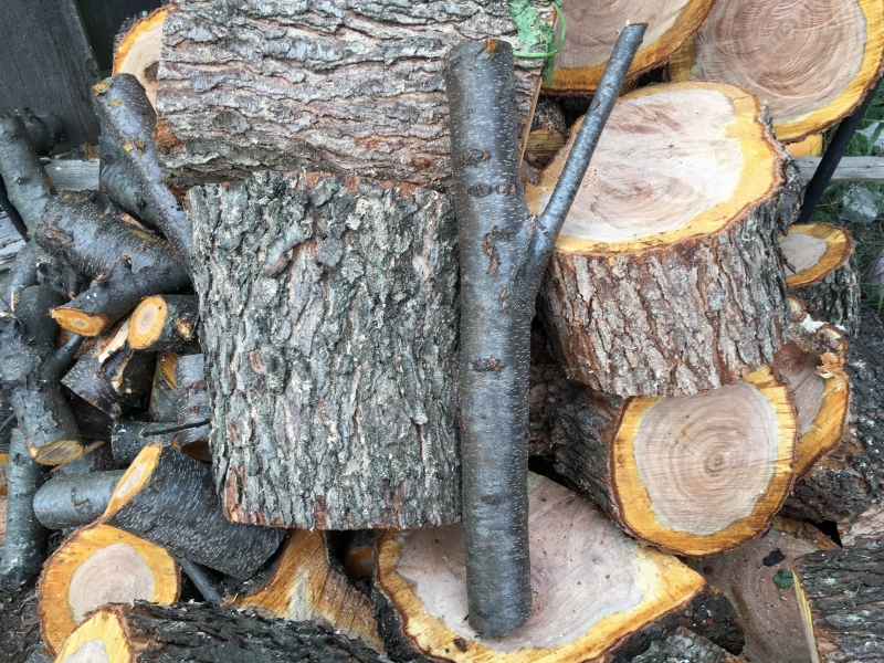 is black cherry wood good for smoking?