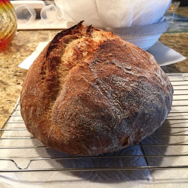 Click image for larger version  Name:	Loaf 20161104-1.jpg Views:	1 Size:	1.80 MB ID:	237043