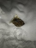 Click image for larger version  Name:	IMG_0117.JPG Views:	1 Size:	4.23 MB ID:	269022