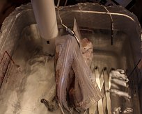 Click image for larger version

Name:	sous vide tub with wires.jpg
Views:	185
Size:	267.6 KB
ID:	315243