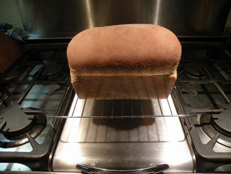Click image for larger version

Name:	Bread01.JPG
Views:	65
Size:	101.5 KB
ID:	377545