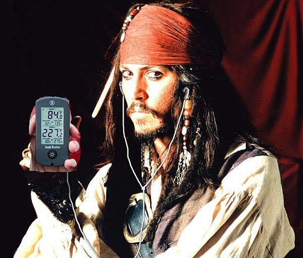 Click image for larger version

Name:	jack pirate.jpg
Views:	196
Size:	73.4 KB
ID:	426391