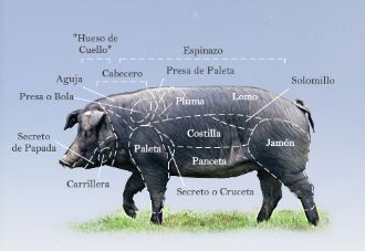 Click image for larger version  Name:	PIG_ANATOMY_CHART.jpg Views:	1 Size:	14.0 KB ID:	455885