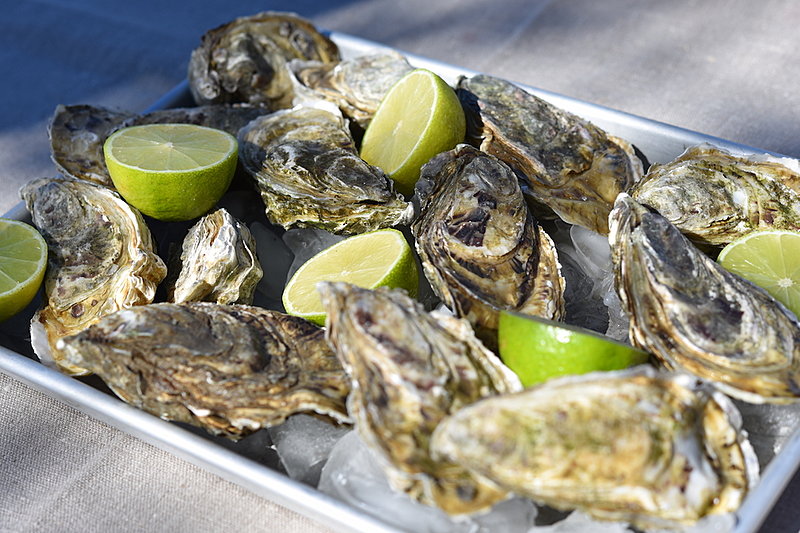 Click image for larger version

Name:	Oysters_raw.jpg
Views:	346
Size:	325.0 KB
ID:	487675