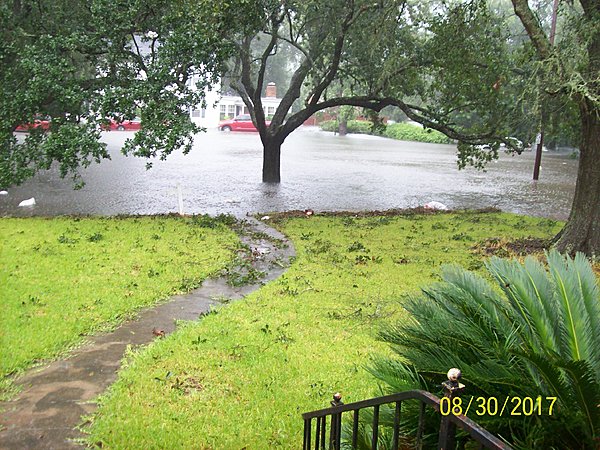 Click image for larger version  Name:	100_2598.JPG Views:	1 Size:	1.15 MB ID:	699591