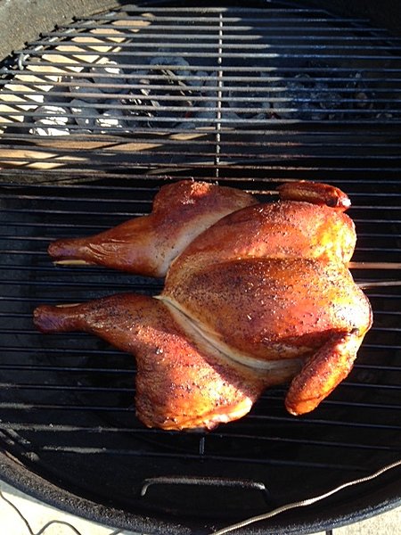 Click image for larger version

Name:	chicken.JPG
Views:	761
Size:	133.4 KB
ID:	737071