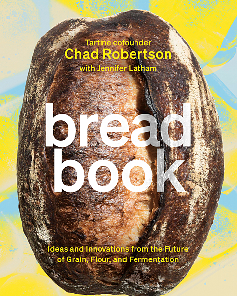 8 Alternatives To Baking Stone – The Bread Guide: The ultimate