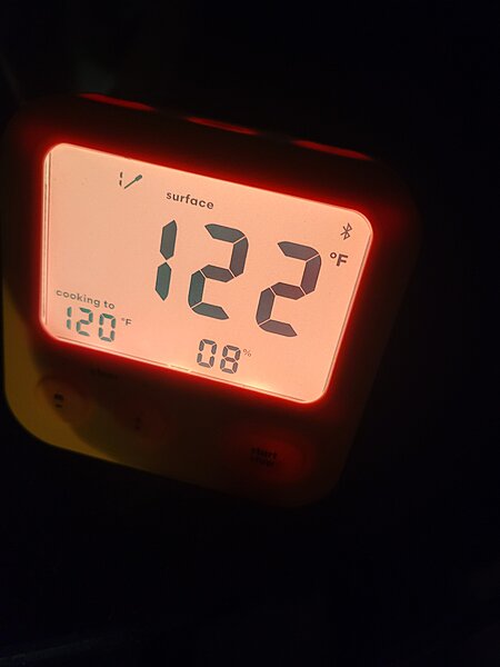 Combustion Precision Thermometer starting to ship : r/sousvide