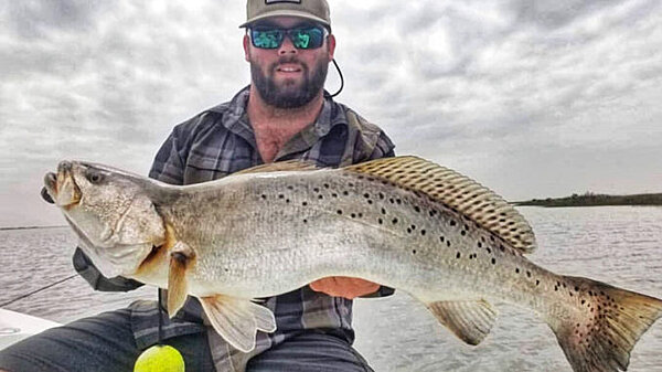 Click image for larger version  Name:	Speckled Trout.jpg Views:	0 Size:	48.8 KB ID:	1424520