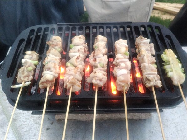 Click image for larger version

Name:	Yakitori6.jpg
Views:	286
Size:	216.0 KB
ID:	1483242