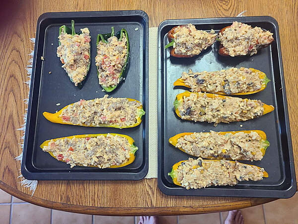 Click image for larger version

Name:	Chicken.jpg
Views:	291
Size:	218.1 KB
ID:	1615154