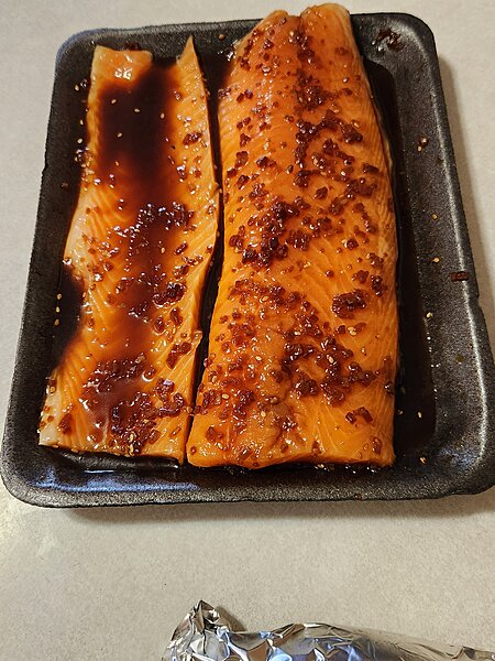Click image for larger version

Name:	Salmon1.jpg
Views:	247
Size:	99.1 KB
ID:	1616761