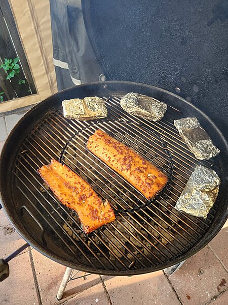 Click image for larger version

Name:	Salmon2.jpg
Views:	235
Size:	116.0 KB
ID:	1616763