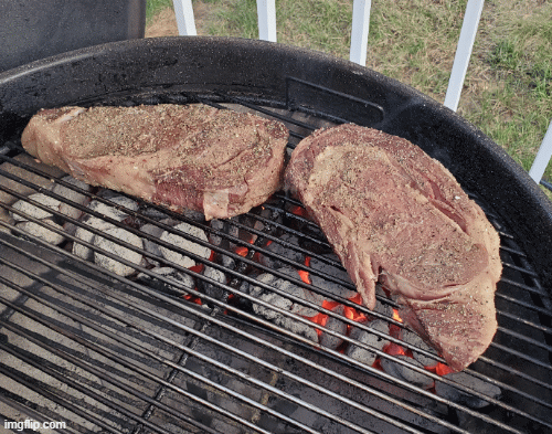 Click image for larger version  Name:	0724ribeye.gif Views:	18 Size:	472.7 KB ID:	1628452