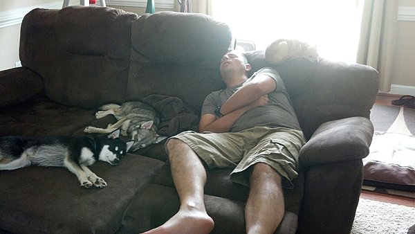 Click image for larger version  Name:	dogsme.jpg Views:	0 Size:	166.4 KB ID:	839599