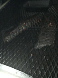 Click image for larger version

Name:	IMG_3897.JPG
Views:	226
Size:	38.5 KB
ID:	359913
