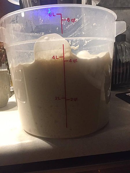Click image for larger version

Name:	00 pizza dough 1.jpg
Views:	275
Size:	21.0 KB
ID:	769235