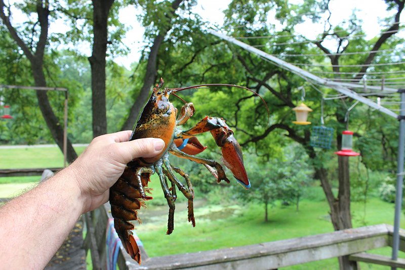 Click image for larger version

Name:	IMG_2257.jpg
Views:	257
Size:	150.1 KB
ID:	107294