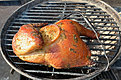 IMG_0657.jpeg